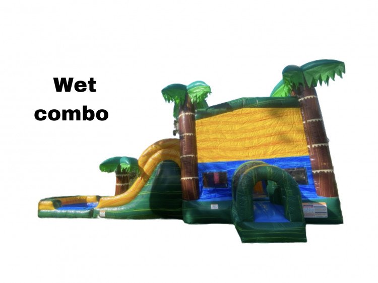 Tropical Double Lane Combo ( WET/DRY) M & K Inflatables Naples FL