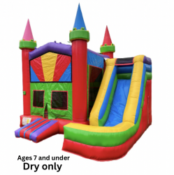 Mini Castle Bounce House ( DRY ONLY)